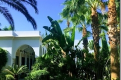 IMG_7107-EFFECTS2011 IMG_7107-EFFECTS2011